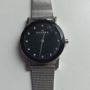 Skagen Black Dial Silver Mesh Watch